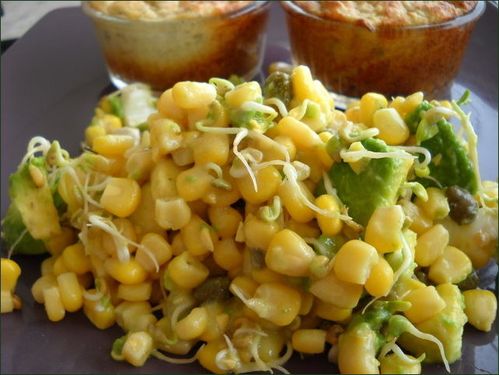 vegecarib26