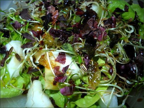vegecarib221