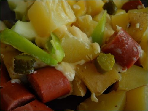 vegecarib380.jpg