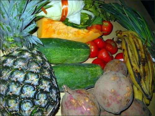 vegecarib382