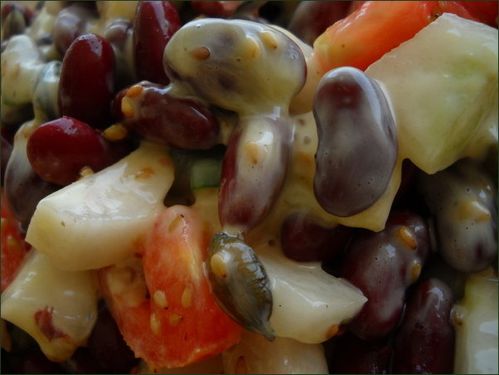 vegecarib391