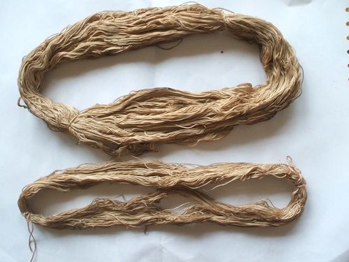coffee_cotton6.JPG