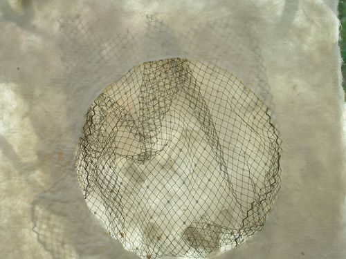 DSCN8321