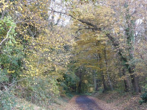 route automne3 - reduc1