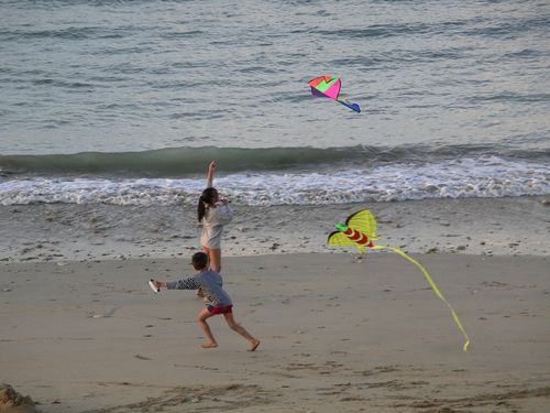 enfants aux cerf volants - reduc1