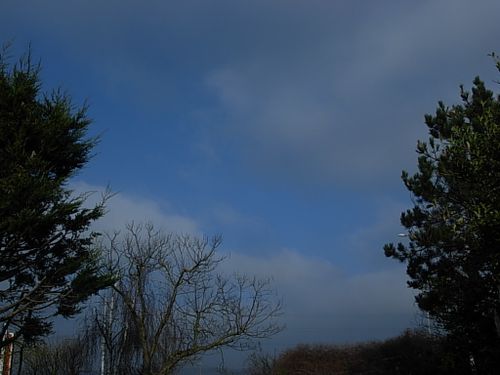 DSCN9991.JPG