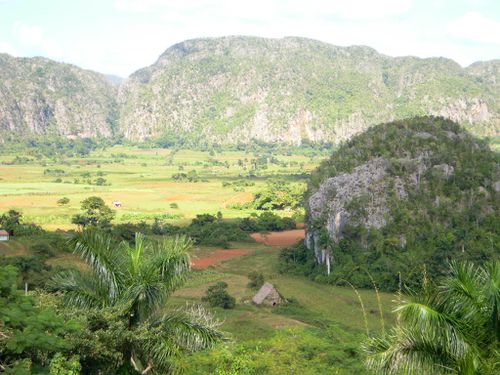 vallee-de-Vinales.JPG