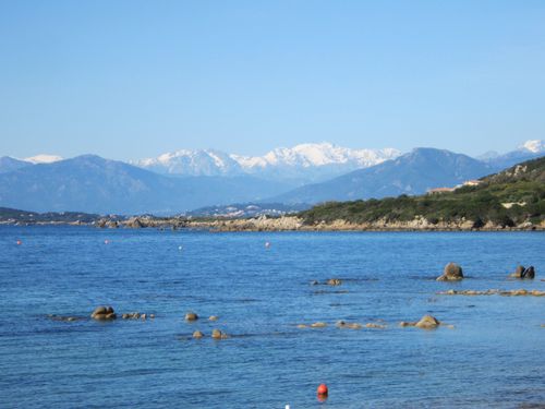 janvier-2012-0111--Copier-.jpg