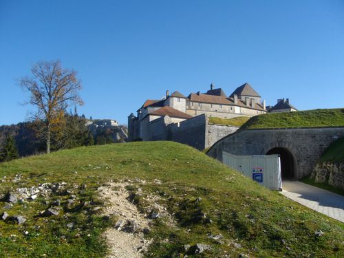 IMGP2786