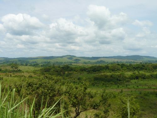 makabana-niari-panorama