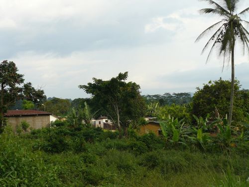 mayombe-bilala-vue
