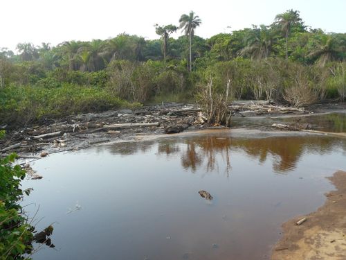 tchissanga-plage-marigot