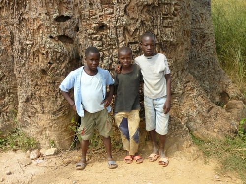 baobab-brazza enfants