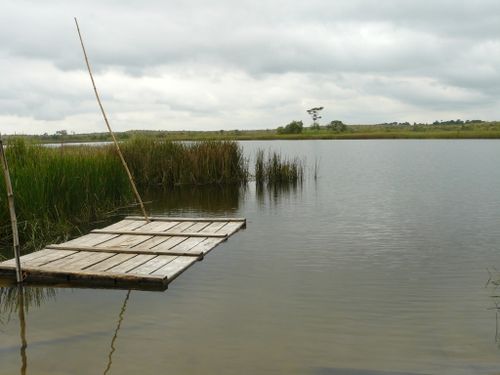 dolisie-lac-bleu