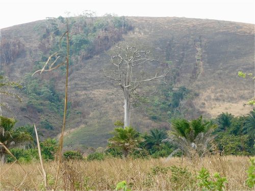 sossi-colline-savane