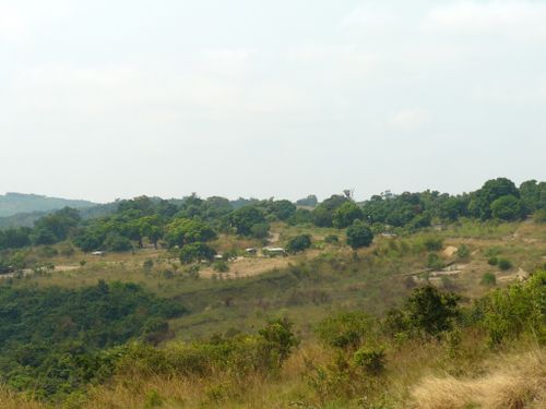 brazzaville-sud-RN1-savane