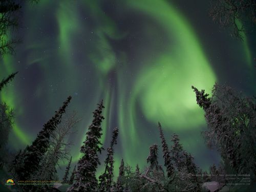 auroramax_aurores-boreales.jpg