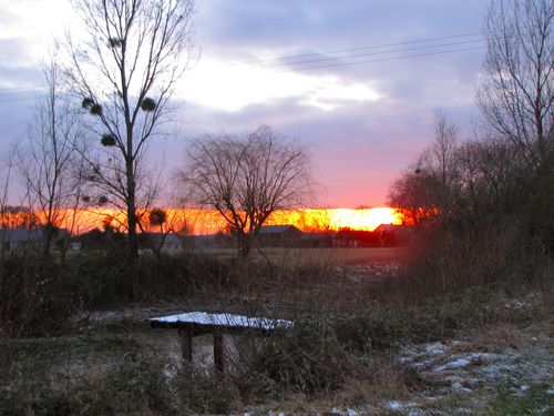 Photos-diverses 7767