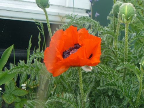 cardiff2010 341