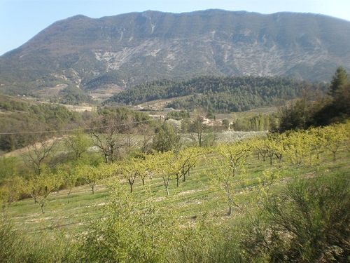 PAQUES-2012-BIBIPAT-023.jpg