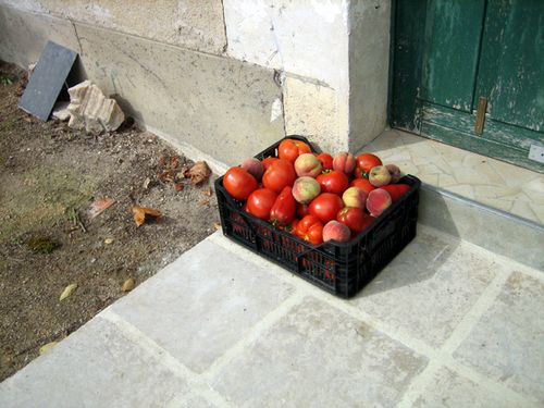 tomates-2011-09-04.JPG