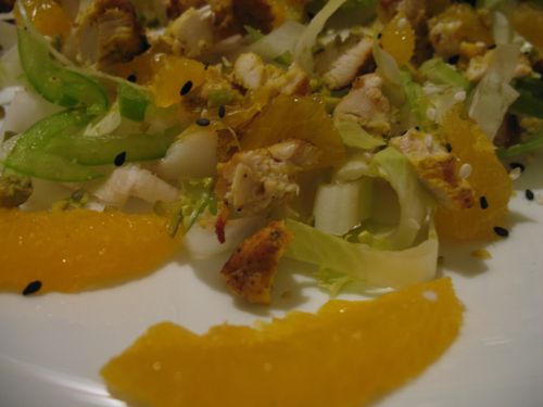 231011 salade poulet endives orange poivrons pista-copie-2