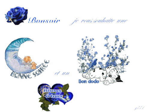 bonsoir