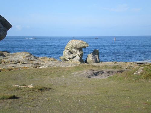 PHOTO LR 4