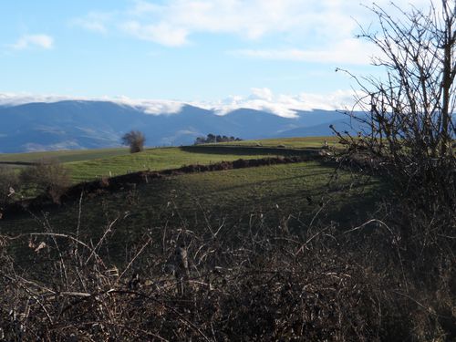 BROUSSAILLES