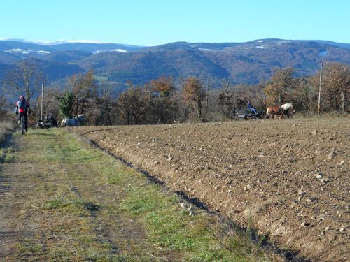 CALECHES-ET-VTT.JPG