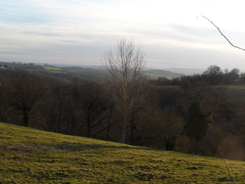 COLLINES.JPG