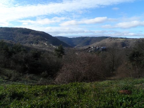 CONDAMINE.JPG