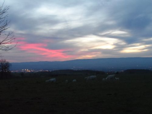 CREPUSCULE.JPG