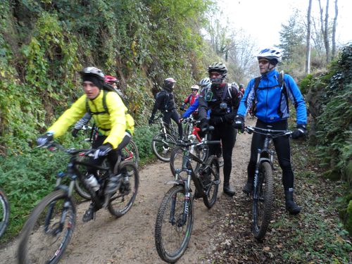 MAILLOT-JAUNE.JPG
