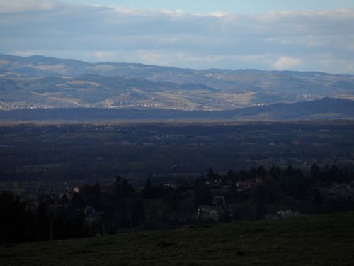 MONTS-DU-FOREZ.JPG