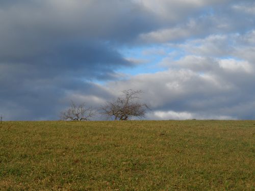 VENDREDI 27 DÉCEMBRE 2013
