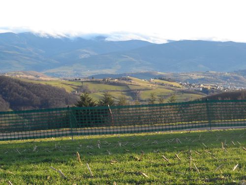 VERS-LE-PILON.JPG
