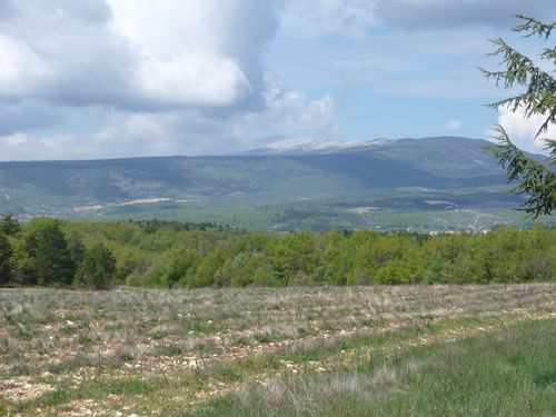 LE-VENTOUX.jpg