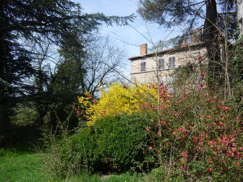 MAISON.jpg
