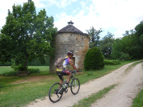 J11-TOUR.jpg
