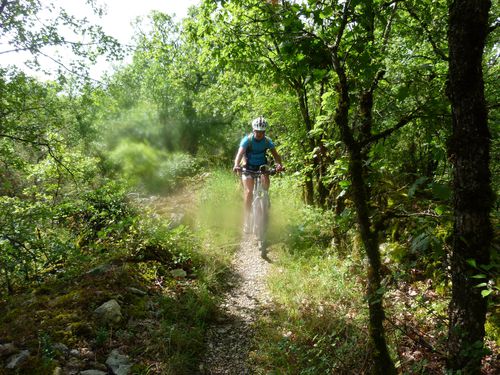 J7-SENTIER.jpg