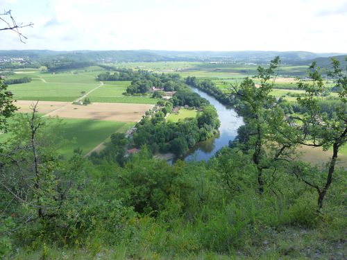 J8-VIGNOBLES.jpg