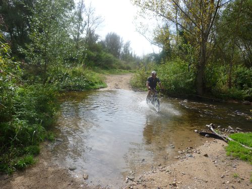 BORD-DE-LOIRE.jpg