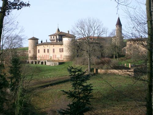 CHATEAU-DE-SACONAY.jpg