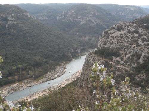 CANOES.JPG