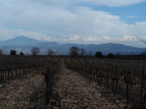 VENTOUX-MONTMIRAIL.JPG