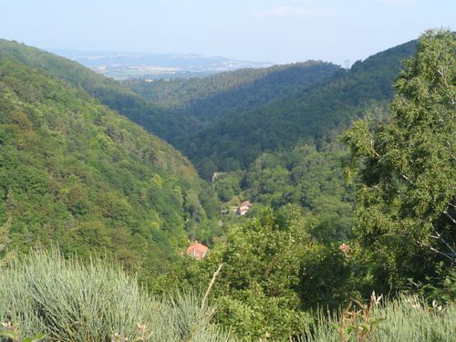 COTATAY VUE