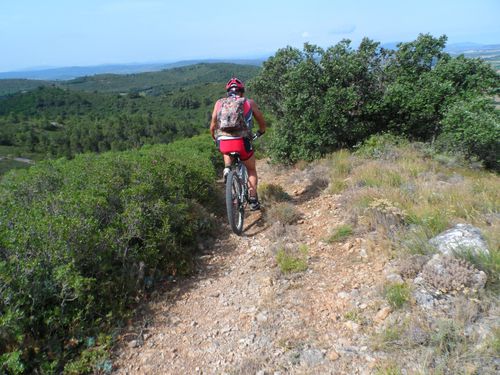 DAN-DESCENTE.JPG