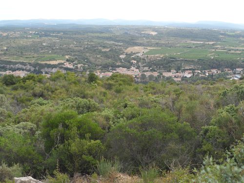 AZILLANET