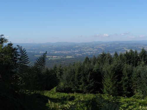 MONT-FOREZ.JPG